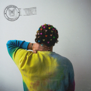 Aaron Taos - mr. butterfly EP cover