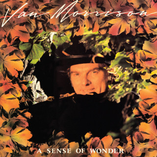 Van Morrison - A Sense Of Wonder album cover