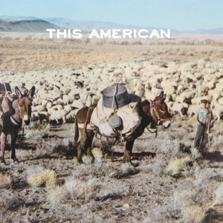 Joe Purdy - This American album cover