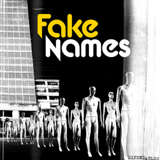 Fake Names - Expendables album cover
