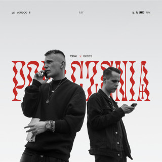 Opał & Gibbs - Połączenia album cover