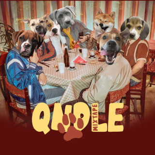 Przyłu, Filipek, Szymi Szyms - QNDLE mixtape cover