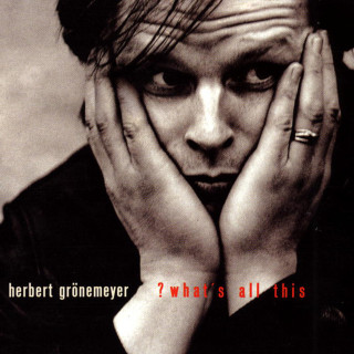 Herbert Grönemeyer - What's All This? album cover
