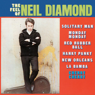 Neil Diamond - The Feel Of Neil album cover