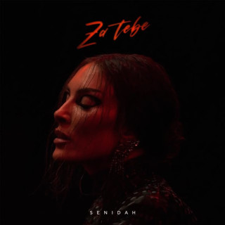 Senidah - Za Tebe album cover