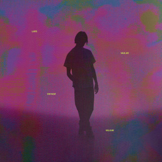Lars Vaular - Vintage Velour album cover