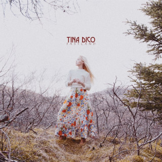 Tina Dico - Fastland album cover