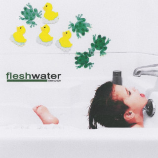 Fleshwater - demo2020 EP cover