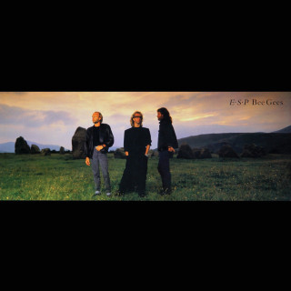 Bee Gees - E.S.P. album cover