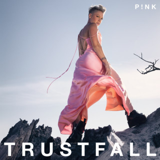 Pink - TRUSTFALL album cover