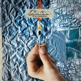 Samiam - You Are Freaking Me Out album cover