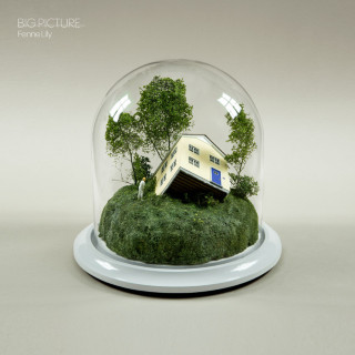 Fenne Lily - Big Picture album cover