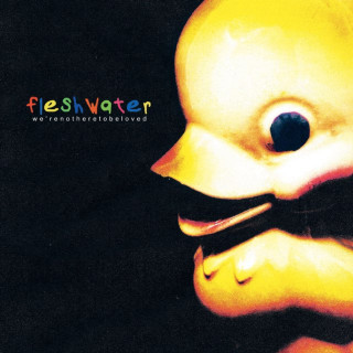 Fleshwater - We're Not Here To Be Loved album cover
