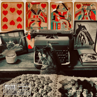 Ryan Adams - Blood On The Tracks album cover