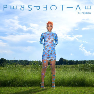 Dondria - Perspective album cover