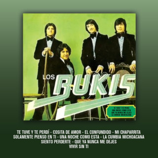 Los Bukis - Te Tuve Y Te Perdí album cover