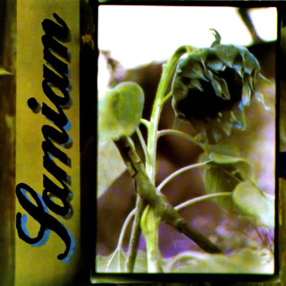 Samiam - Samiam album cover