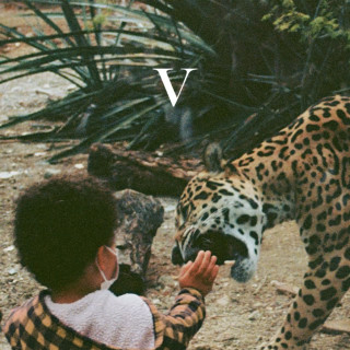 Unknown Mortal Orchestra - V album cover