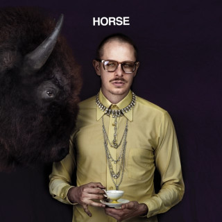Prof - Horse album cover