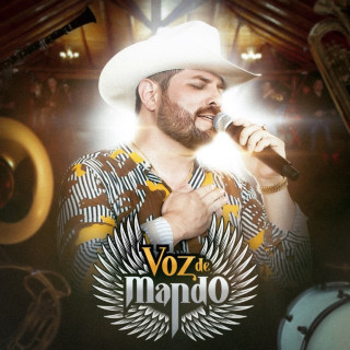 Voz De Mando - Golpes Del Viento album cover