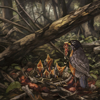 The Acacia Strain - STEP INTO THE LIGHT album cover