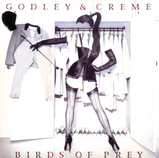 Godley & Creme - Birds Of Prey album cover