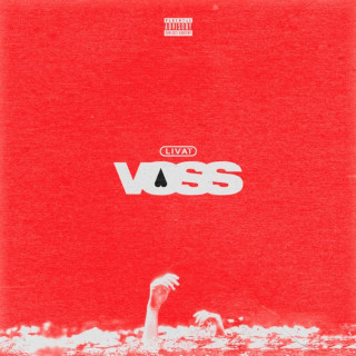 Livaï - Voss album cover