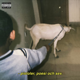 Yasin - PISTOLER POESI OCH SEX album cover