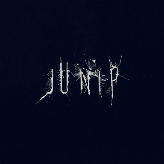Junip - Junip album cover