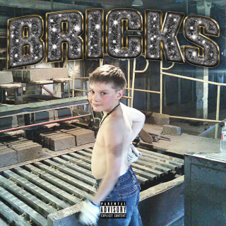 Mosquit - BRICKS album cover