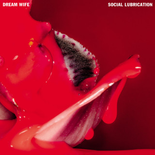 Dream Wife - Social Lubrication album cover