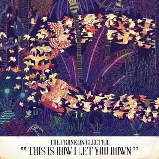 The Franklin Electric - This Is How I Let You Down album cover