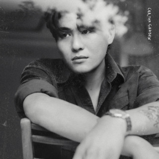 Car, The Garden - C album cover