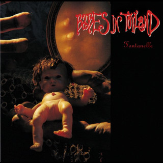 Babes In Toyland - Fontanelle album cover