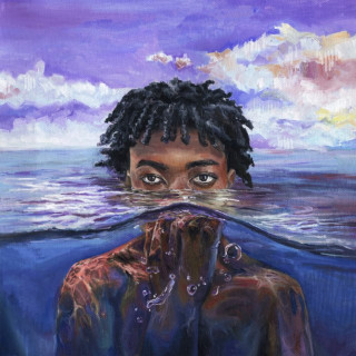 redveil - learn 2 swim album cover