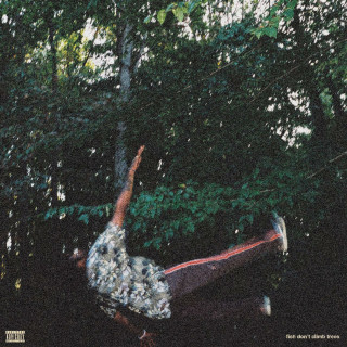Chester Watson - Fish Don't Climb Trees album cover