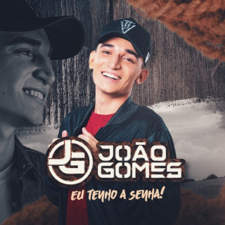 João Gomes - Eu Tenho A Senha album cover