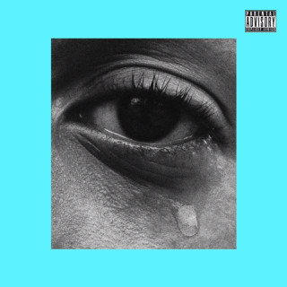 redveil - Bittersweet Cry album cover