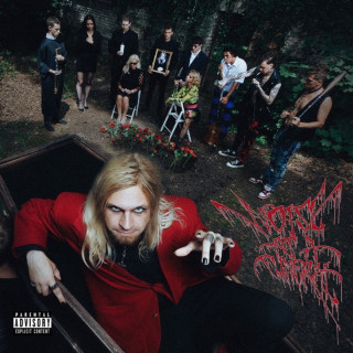 REDZED - NOISE AT A FUNERAL album cover