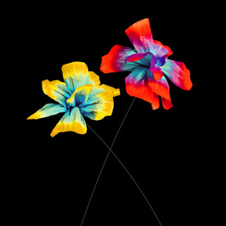 Diodato - Così Speciale album cover