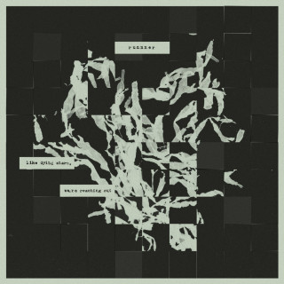Runnner - like dying stars, we're reaching out album cover