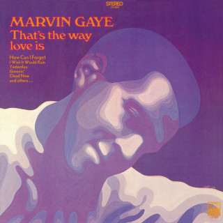 Marvin Gaye - That's The Way Love Is album cover