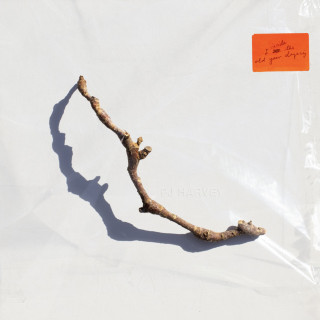 PJ Harvey - I Inside The Old Year Dying album cover