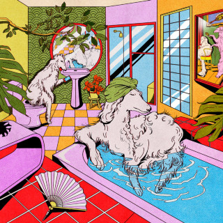 HONEYMOAN - Sorry Like You Mean It album cover