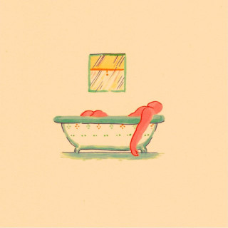 Pile - A Hairshirt Of Purpose album cover