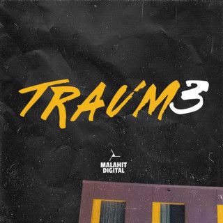 Djexon - Traum3 album cover