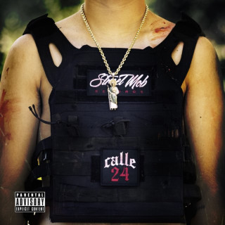 Calle 24 - Mi Nueva Familia album cover