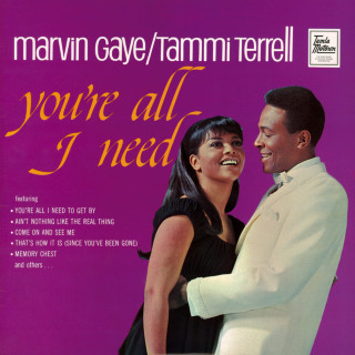 Marvin Gaye - You're All I Need album cover