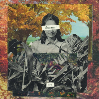 Charmer - ivy album cover