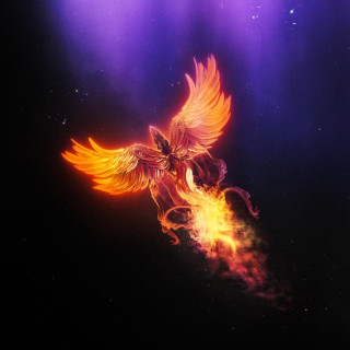 Zimm - Phoenix EP cover